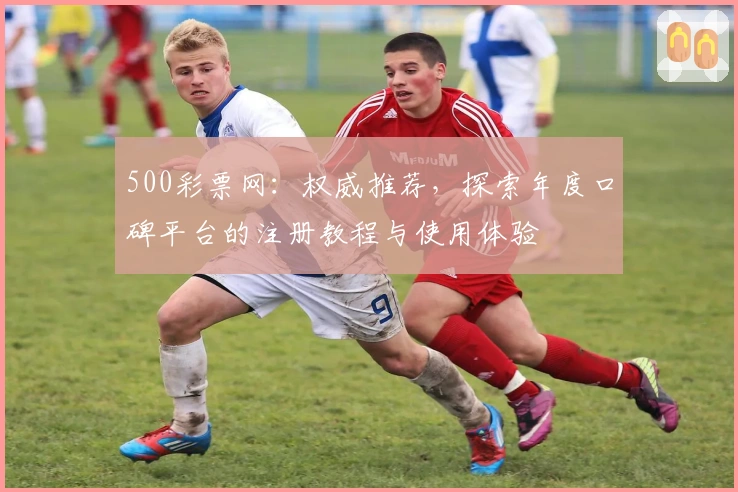 500彩票网：权威推荐，探索年度口碑平台的注册教程与使用体验