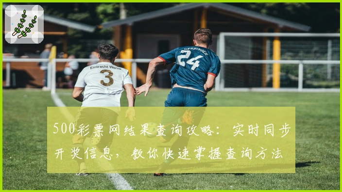500彩票网结果查询攻略：实时同步开奖信息，教你快速掌握查询方法
